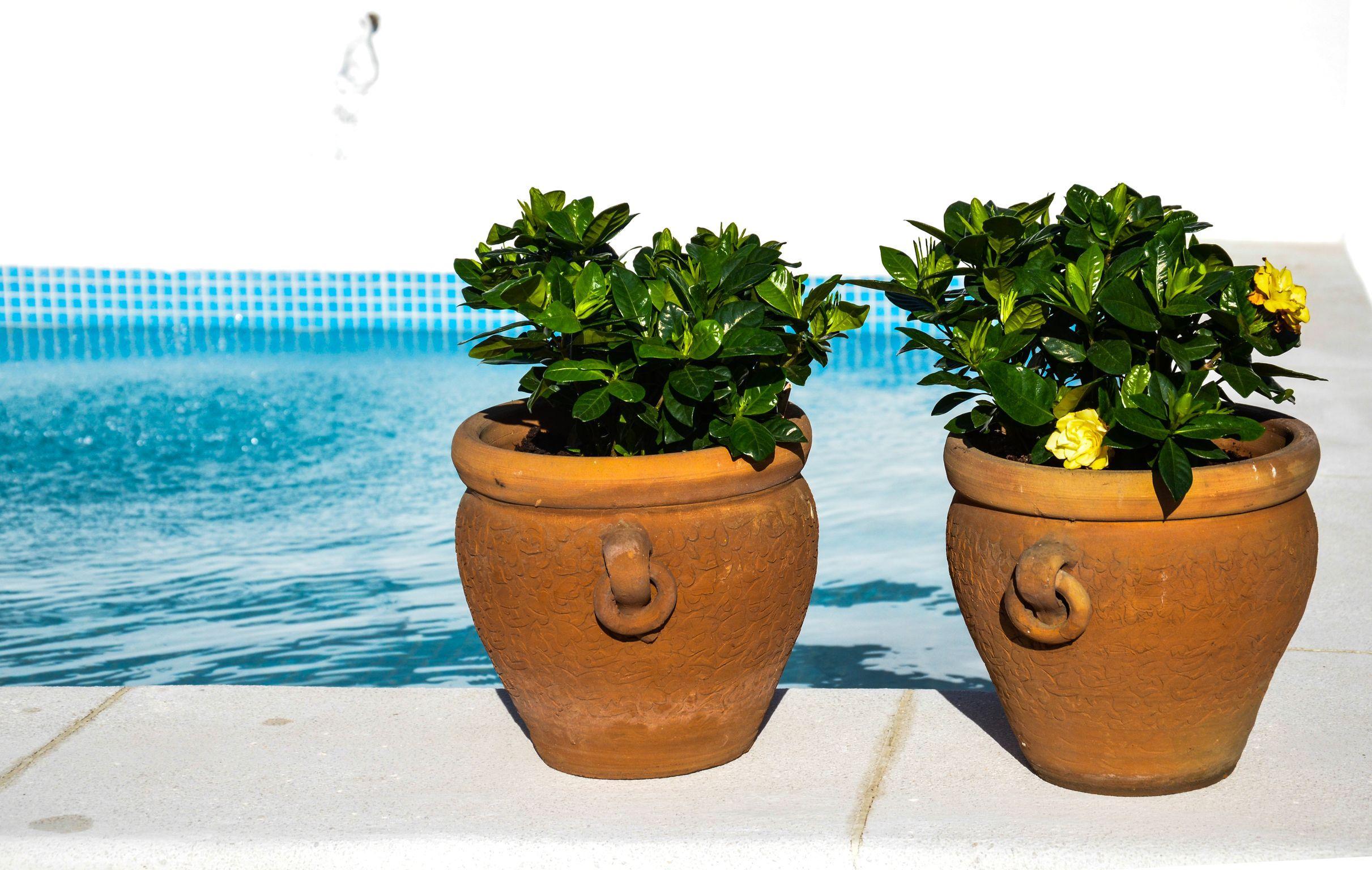 Aguilas5 Sevillasuites Eksteriør bilde